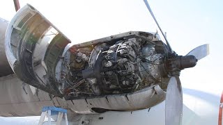 Big Old RADIAL AIRPLANE ENGINES Cold Start and Sound [upl. by Trebliw]