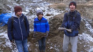 12yearold makes significant dinosaur discovery near Drumheller [upl. by Fanya]