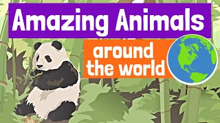 Amazing Animals Around the World for Kids [upl. by Farhi]