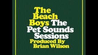 Beach Boys  Wouldnt It Be Nice Vocals Only [upl. by Hanleigh]