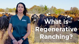 What is Regenerative Ranching Why is Regenerative Agriculture Important [upl. by Pippy692]