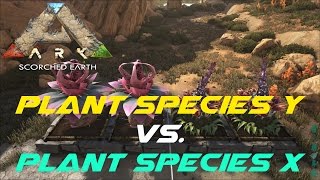 Plant Species Y vs Plant Species X  ARK Scorched Earth [upl. by Ordnaxela]