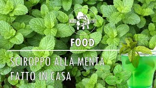 SCIROPPO ALLA MENTA FATTO IN CASA [upl. by Adebayo]