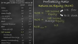 Profitability Ratio  Return on Equity [upl. by Eadith]