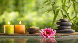 Relaxing Zen Music with Bamboo Water Sounds • Yoga Massages amp Mindfulness [upl. by Loma893]