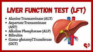 Liver Function Tests LFTs  liver function test interpretation  Animation  MultiLanguages [upl. by Desmond999]