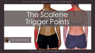 The Scalene Trigger Points [upl. by Nosaj]