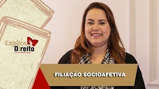 Explica Direito Filiação Socioafetiva  2019 [upl. by Quintina704]