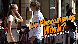 Do Pheromones Work [upl. by Eciened]