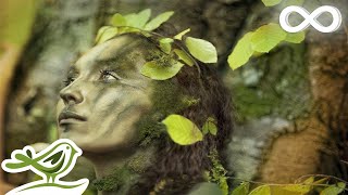 Dance of Life Relaxing Celtic Music for Meditation amp Sleep by Peder B Helland [upl. by Antipus]