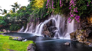 Relaxing Zen Music with Water Sounds • Peaceful Ambience for Spa Yoga and Relaxation [upl. by Ahsiret240]