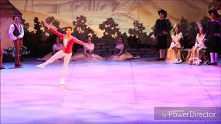 Male variation of peasant pas de deux from Giselle Ballet 2019 [upl. by Elsie]