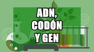 Genética ADN codones y genes [upl. by Nediarb]