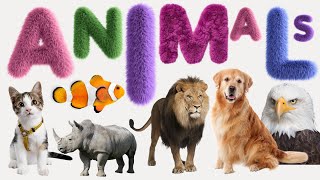 Animal  List of Animals  Name of Animals  500 Animals Name in English from A to Z [upl. by Annasoh282]