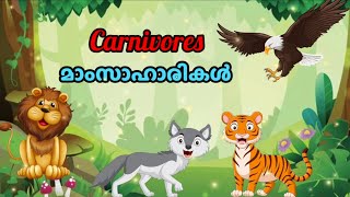 Carnivores  മാംസാഹാരികൾ  Names of Carnivores in English and Malayalam [upl. by Dnalyram]