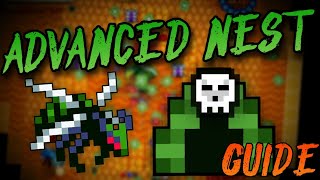 Advanced Nest Guide Rotmg [upl. by Neeliak]