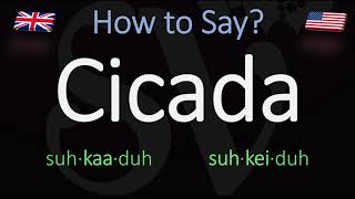 How to Pronounce Cicada British Vs American Pronunciation  Spanish [upl. by Bardo217]