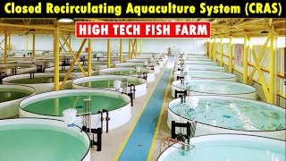 Closed Recirculating Aquaculture System CRAS  RAS Fish Farming  Modern Fish Farming Technology [upl. by Lazaro208]