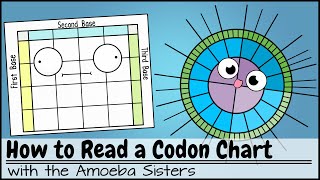 How to Read a Codon Chart [upl. by Carita]