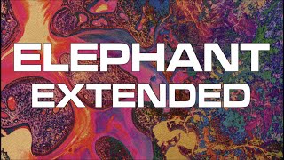 Elephant Extended  TAME IMPALA [upl. by Rima]