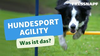 Was ist Agility Wir erklären den Hundesport [upl. by Salba]