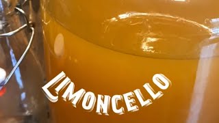 Easy Homemade Limoncello with honey [upl. by Naeloj]