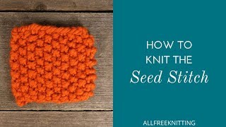 How to Knit the Seed Stitch [upl. by Haymo]