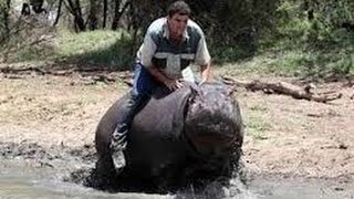 Hippopotamus natures wild feast Documentary [upl. by Fleisig]