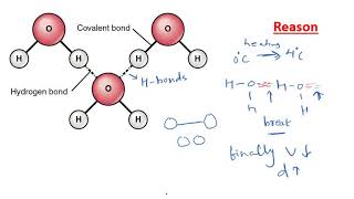 Anomalous expansion of water Boon to aquatic animals in cold regions [upl. by Damalas]