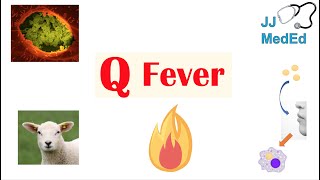 “A Disease from Farm Animals” Q Fever  Transmission Symptoms Treatment and Complications [upl. by Kelli]