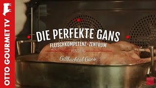 Gänsebraten perfekt zubereiten [upl. by Ainatit]