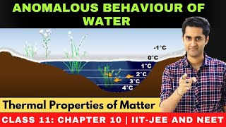 Thermal Properties of Matter  Anomalous behaviour of water  Class 11 Chapter 11  JEE  NEET [upl. by Onairda]