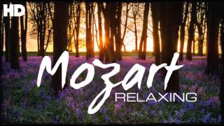 The Best Relaxing Classical Music Ever By Mozart  Relaxation Meditation Reading Focus [upl. by Meridel177]