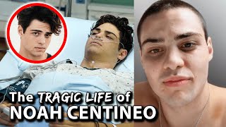 The Dark Truth About Noah Centineo [upl. by Sarilda]