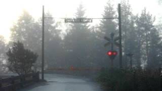 SJVästtrafik regional train runs on a foggy morning from Borås to Göteborg [upl. by Dougall]