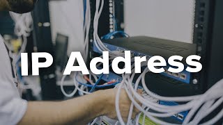 How to Find IP Address in Wireshark [upl. by Retsam]