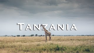 Great Africa Safari in Tanzania  Tarangire National Park [upl. by Elatia]