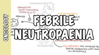 Pegfilgrastim versus filgrastim for supportive care of heavily pretreated multiple myeloma [upl. by Thirion]