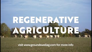 Farmers are changing the world with REGENERATIVE AGRICULTURE  Groundswell Short Film [upl. by Daggna]