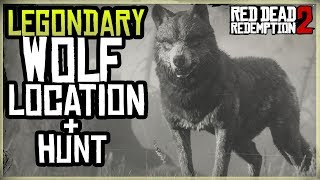 HOW TO FINT THE LEGENDARY WOLF LOCATION  HUNT  Red Dead Redemption 2 Hunting Tips and Tricks [upl. by Telfore727]