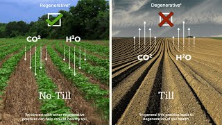 Regenerative Agriculture  Regenerative Farming [upl. by Tomas]