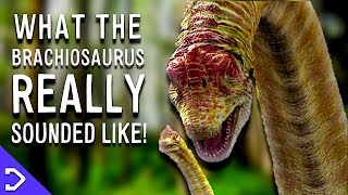 What Did The Brachiosaurus REALLY Sound Like [upl. by Neelrahs]