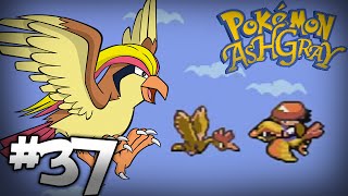 Lets Play Pokemon Ash Gray  Part 37  Take To The Sky [upl. by Stacee820]