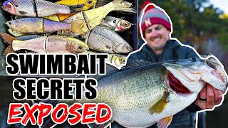 The Swimbait Fishing Secrets I NEVER should have shared [upl. by Felicidad]