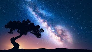 DEEP HEALING SLEEP Sleep Music • Delta Waves • Calming Music • Meditation Music • Relaxation [upl. by Corneille392]