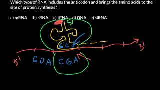 Codons and anticodons explained [upl. by Adnof538]