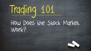 Trading 101 How Does the Stock Market Work [upl. by Lagiba]