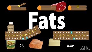 Unsaturated vs Saturated vs Trans Fats Animation [upl. by Skier]