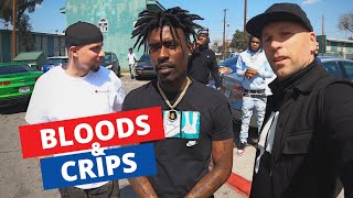 Inside LAs Most Dangerous Hoods  Meeting Bloods amp Crips 🇺🇸 [upl. by Hartley]