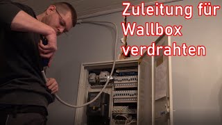 Wallbox im Zählerschrank anschließen ElektroM [upl. by Ayram]